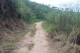 Prefeitura de Pilões deu início ao roço do mato das estradas da zona rural do município.