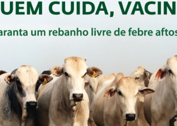 INICIA EM PILÕES A 2ª ETAPA DA CAMPANHA DE VACINAÇÃO CONTRA A FEBRE AFTOSA