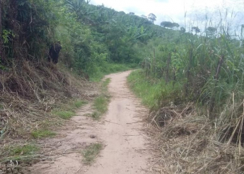 Prefeitura de Pilões deu início ao roço do mato das estradas da zona rural do município.
